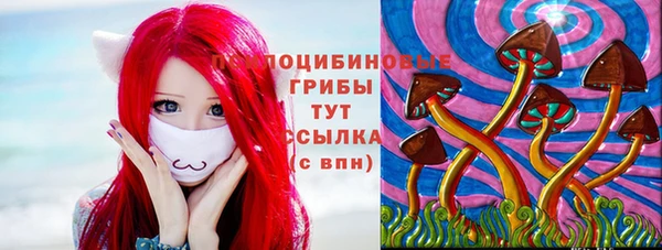 apvp Волоколамск