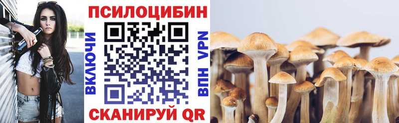 купить закладку Задонск Псилоцибиновые грибы прущие грибы